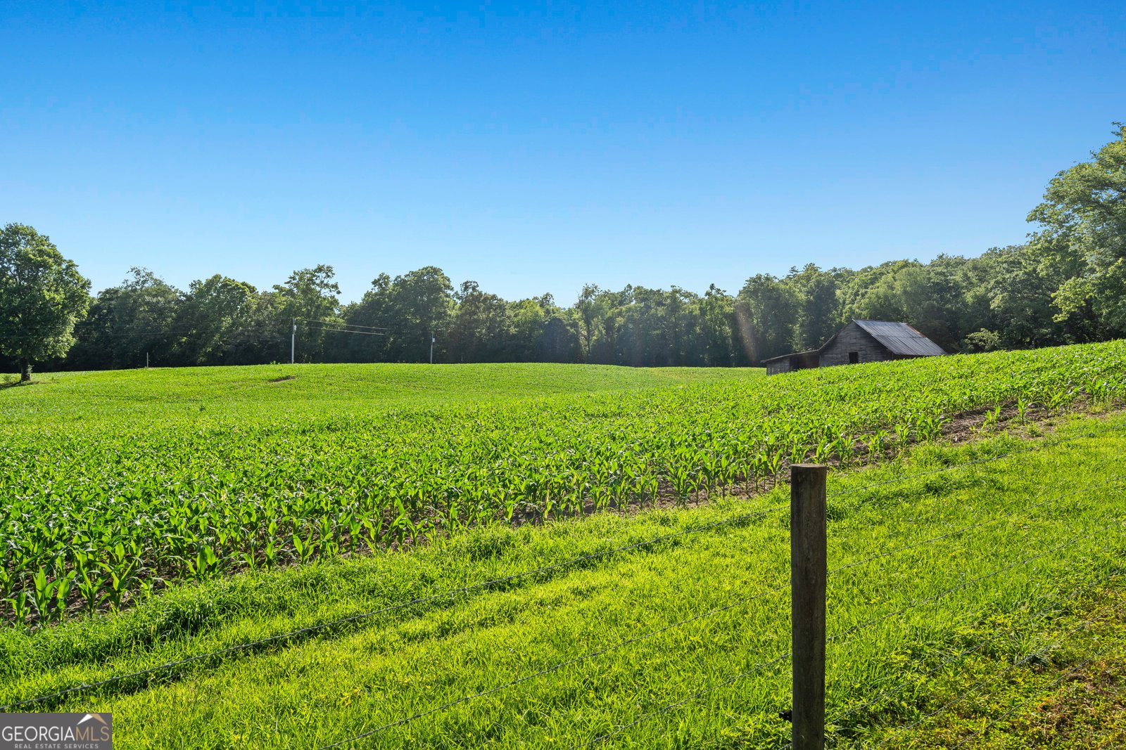 1837 1837 Highway 255 Sautee Nacoochee - 19