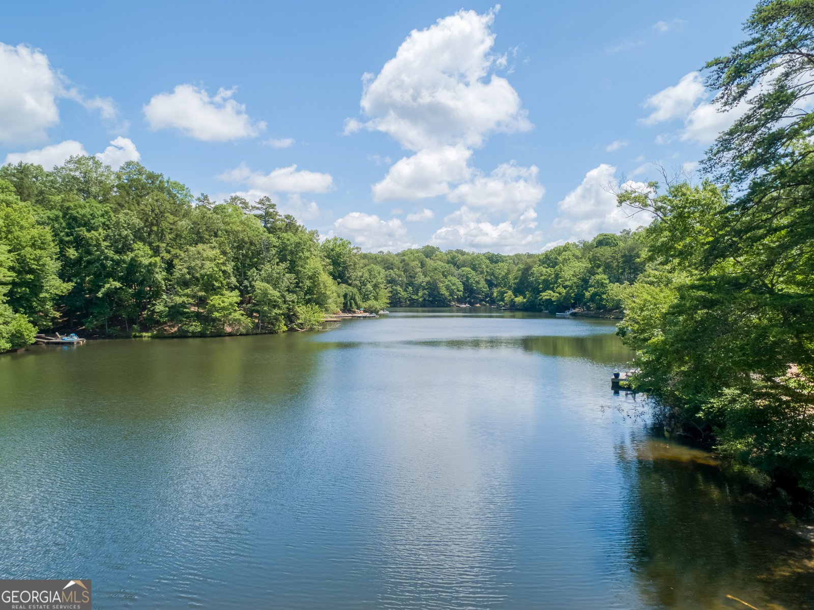 161 RIDGEWOOD Drive Waleska - 20