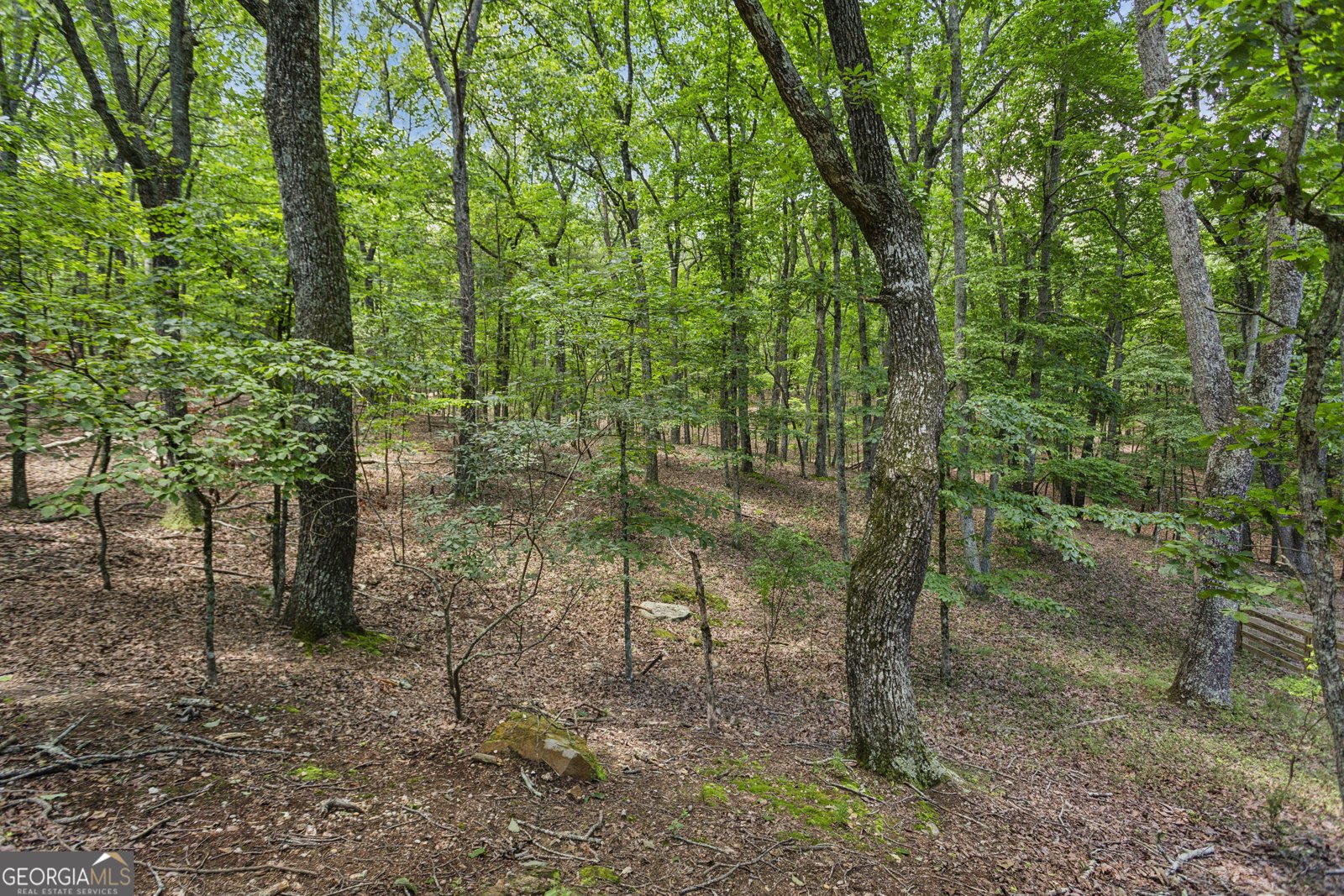 161 RIDGEWOOD Drive Waleska - 25