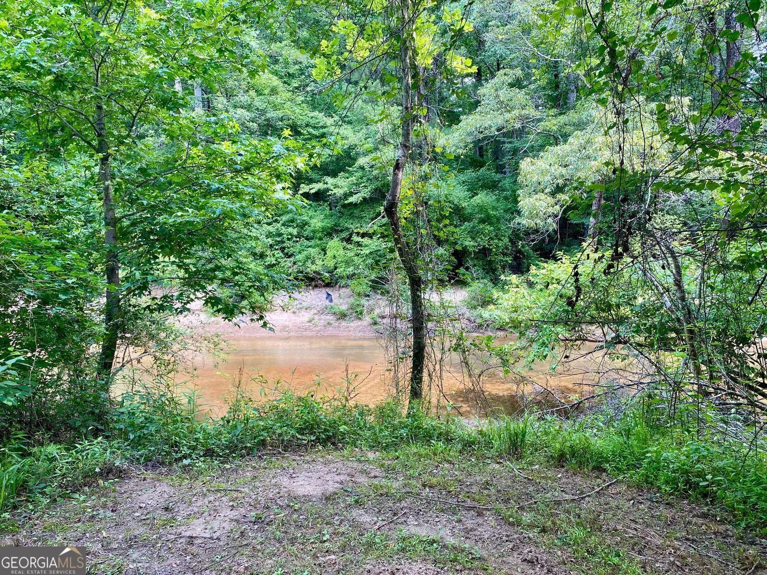 7680 Banks Mill Road Road Douglasville - 39