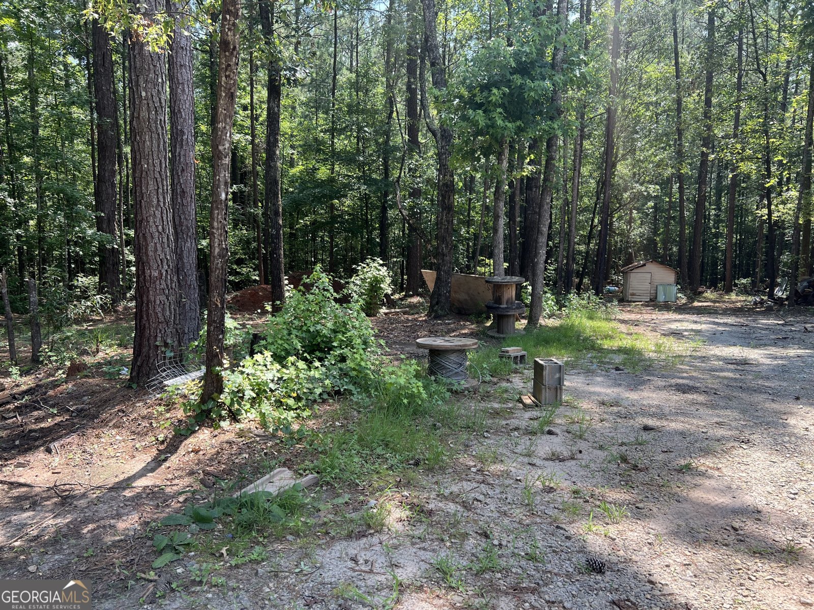 905 Natures Trail Forsyth - 31