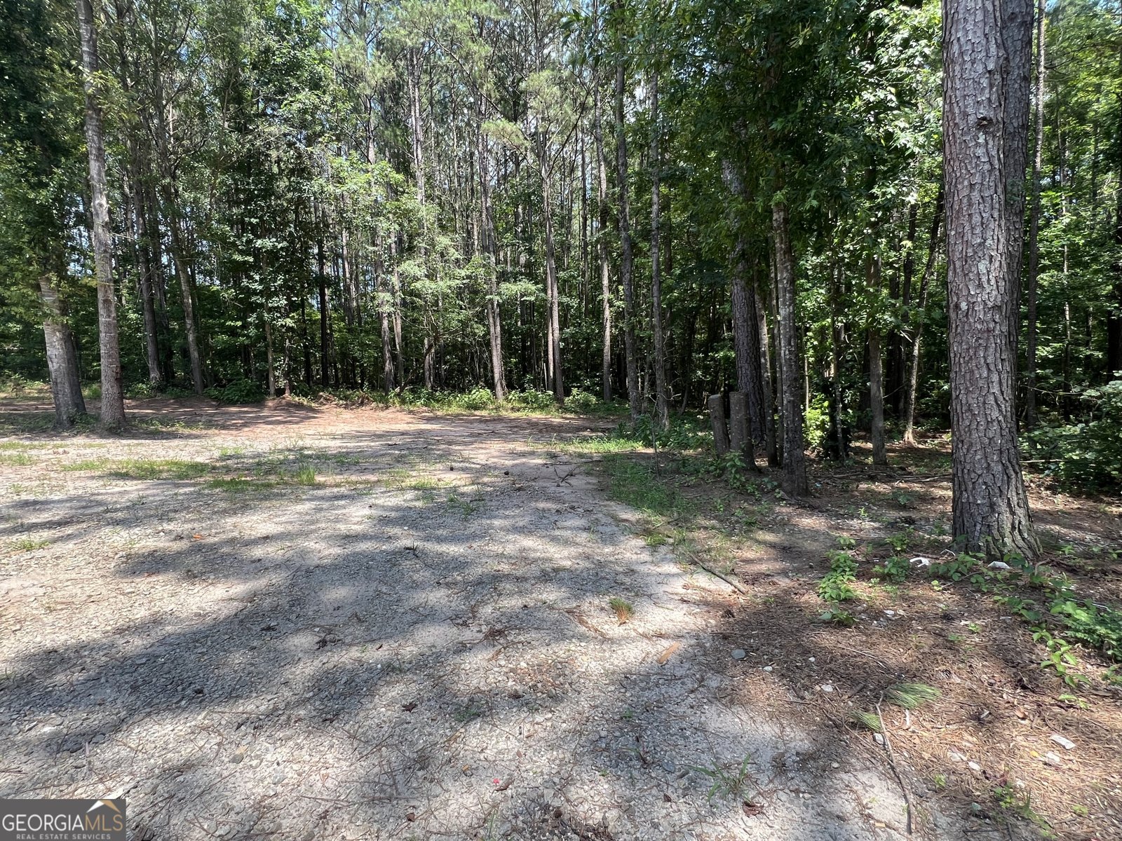 905 Natures Trail Forsyth - 32