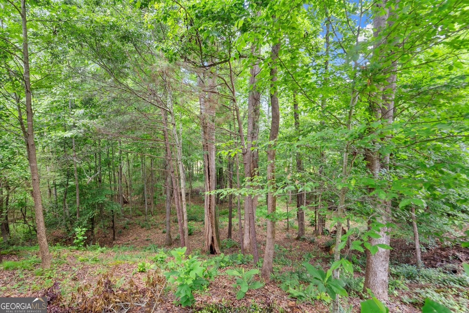 500 Founders Drive Alpharetta - 29