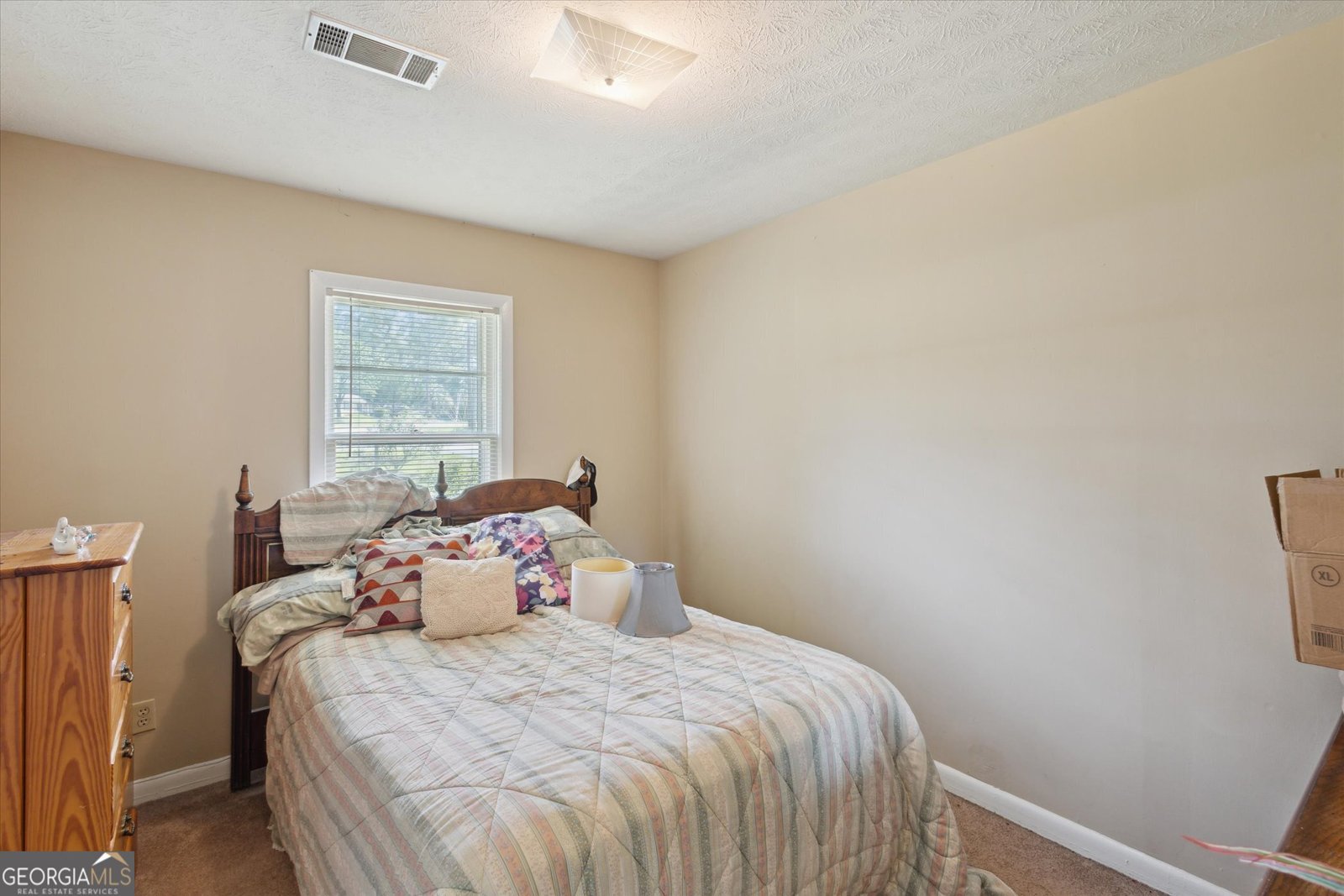 133 Anderson Drive Swainsboro - 12