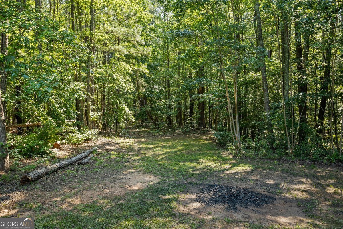 315 Antioch Road McDonough - 36
