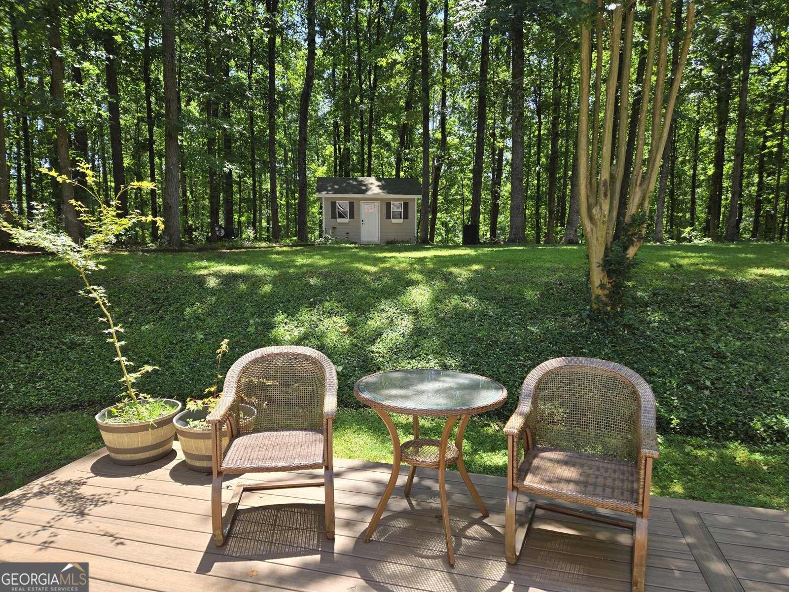 180 Hightower Lake Trail Ball Ground - 46