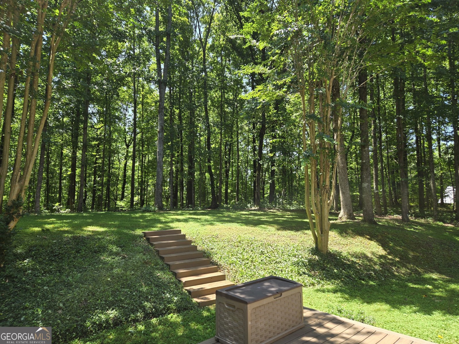 180 Hightower Lake Trail Ball Ground - 47
