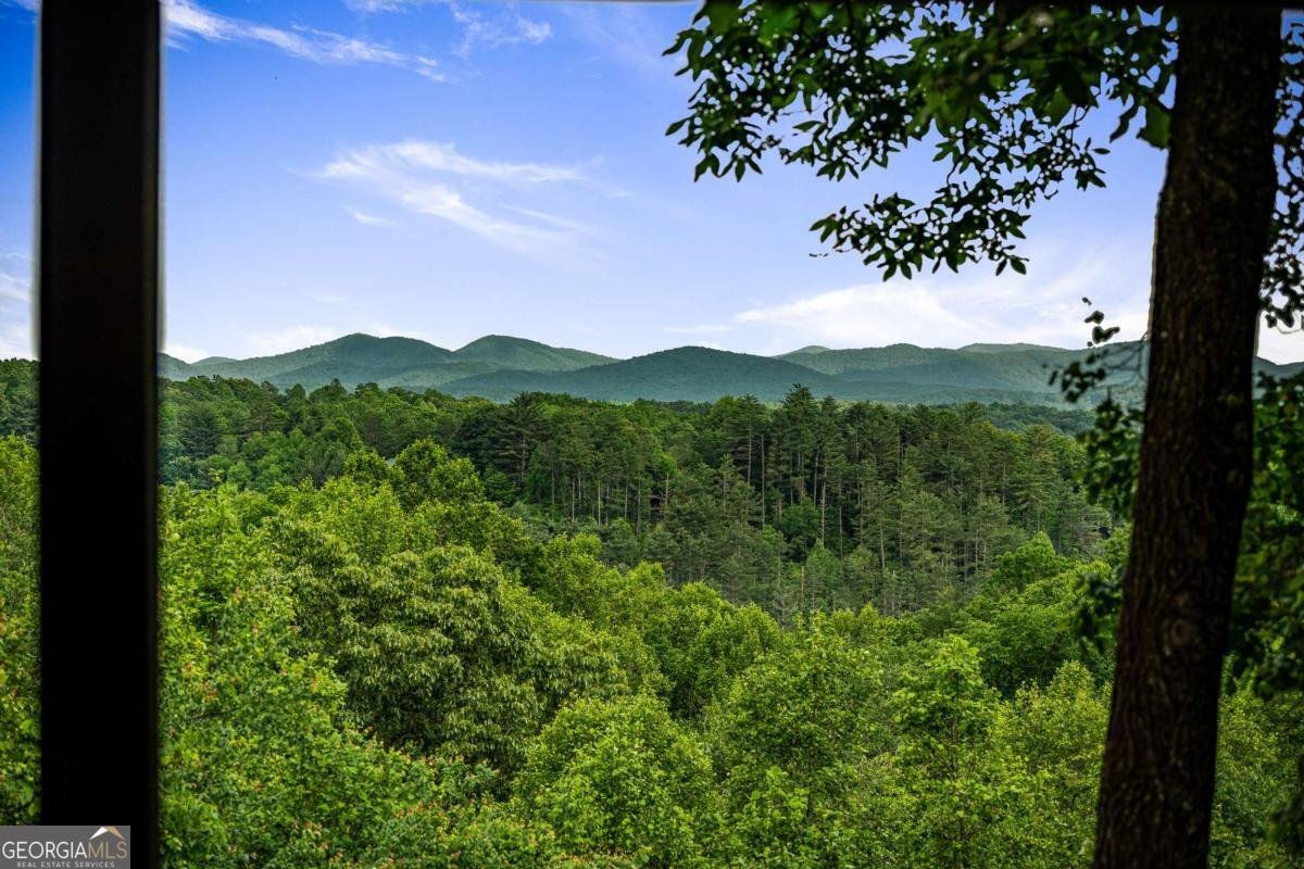 35 35 The Bluff Morganton - 21