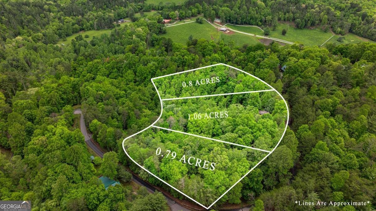 35 35 The Bluff Morganton - 3