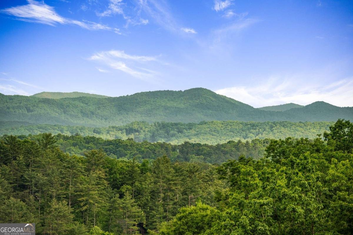 35 35 The Bluff Morganton - 4