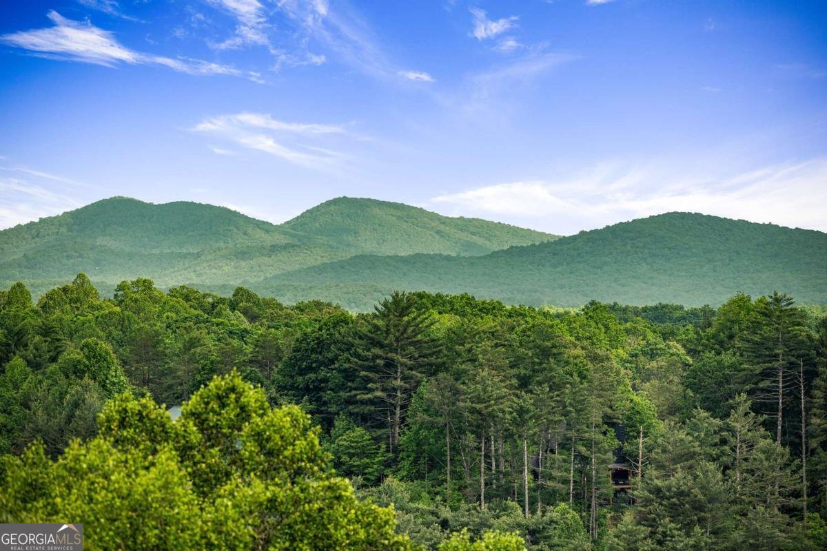 35 35 The Bluff Morganton - 43