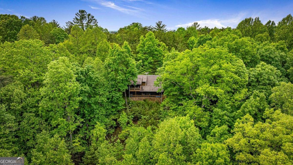35 35 The Bluff Morganton - 55