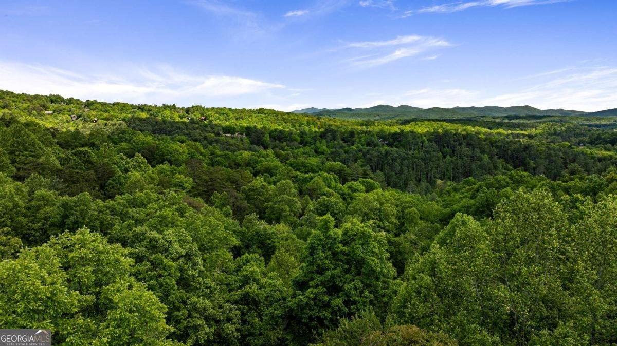 35 35 The Bluff Morganton - 56