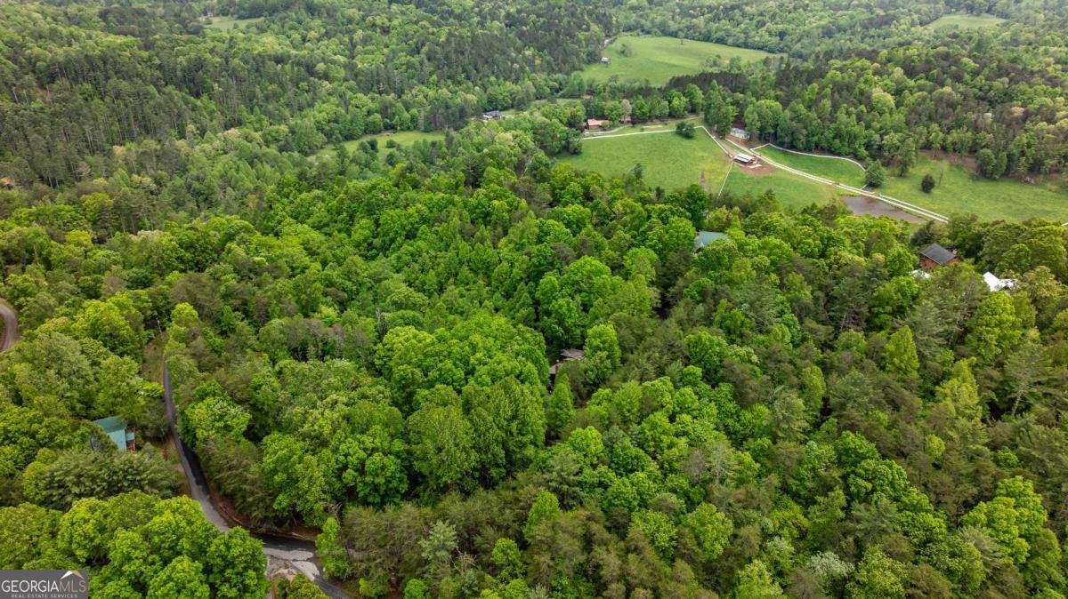 35 35 The Bluff Morganton - 57