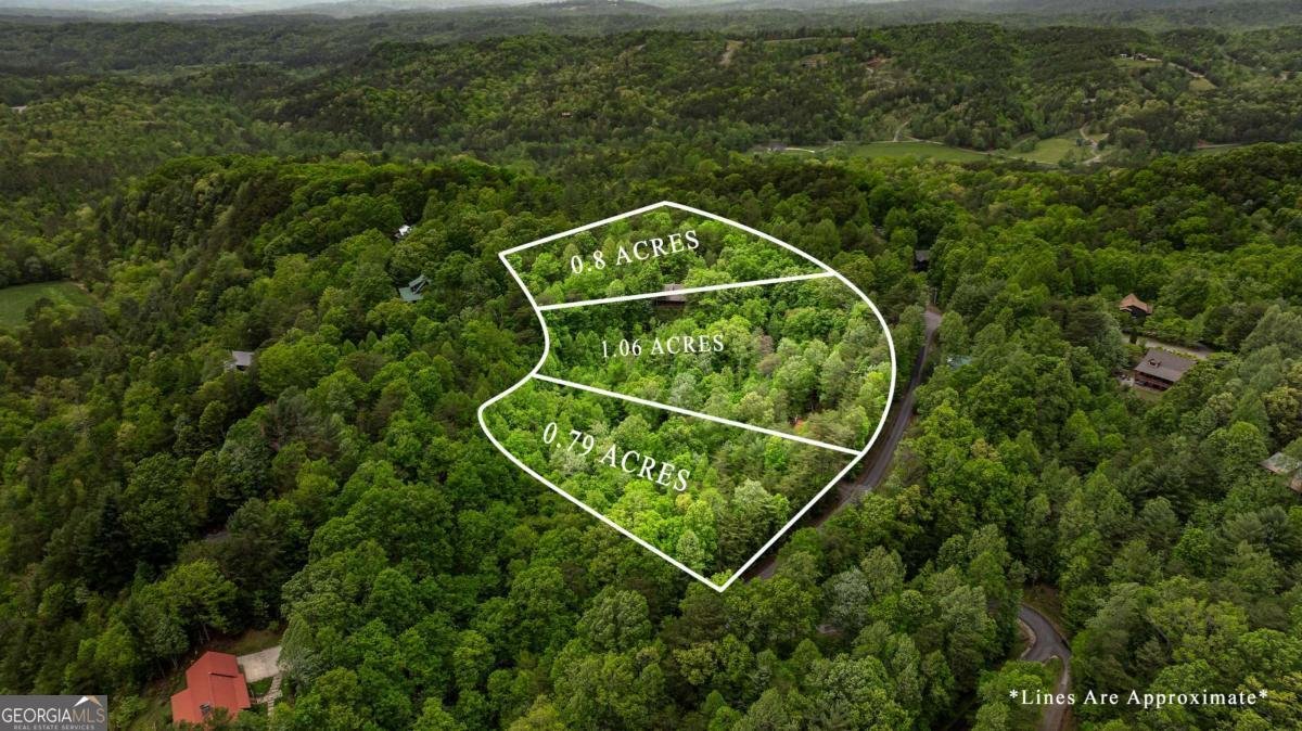35 35 The Bluff Morganton - 60