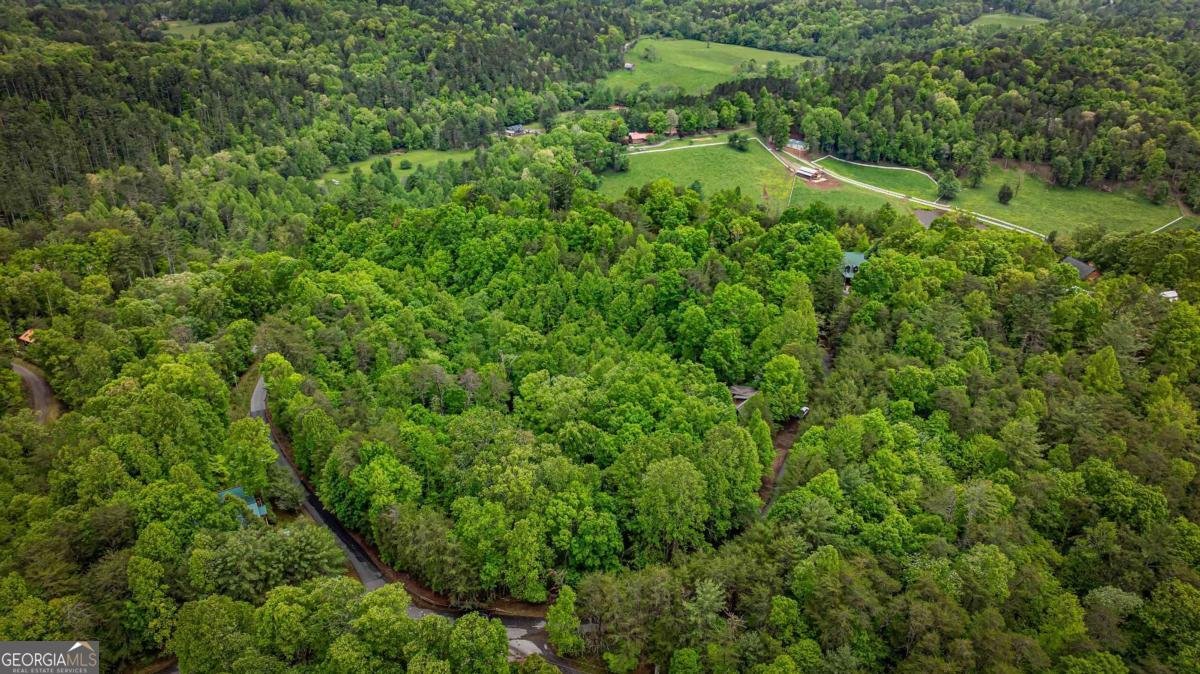 35 35 The Bluff Morganton - 61