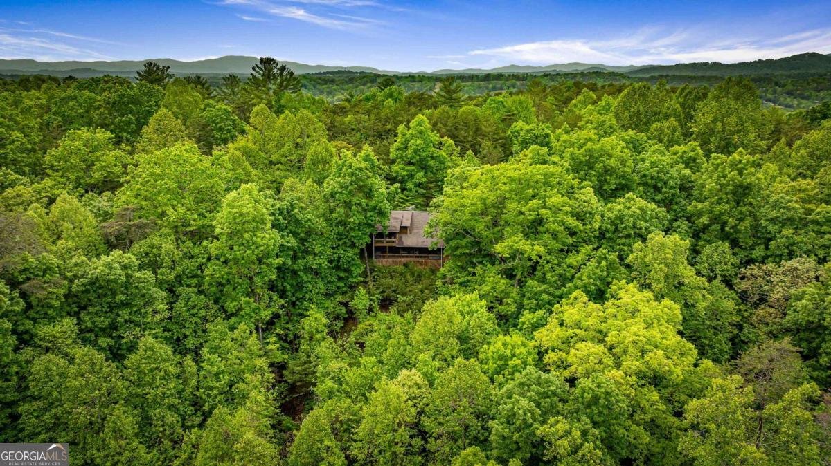 35 35 The Bluff Morganton - 62