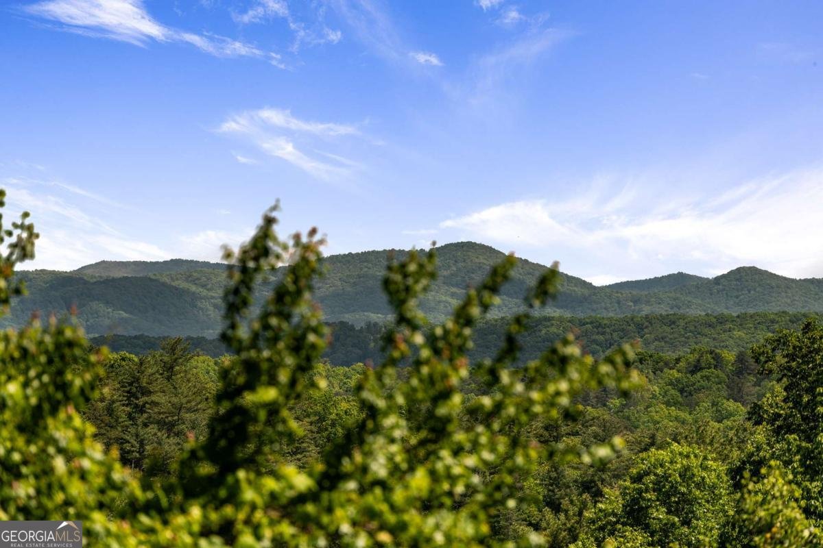35 35 The Bluff Morganton - 63