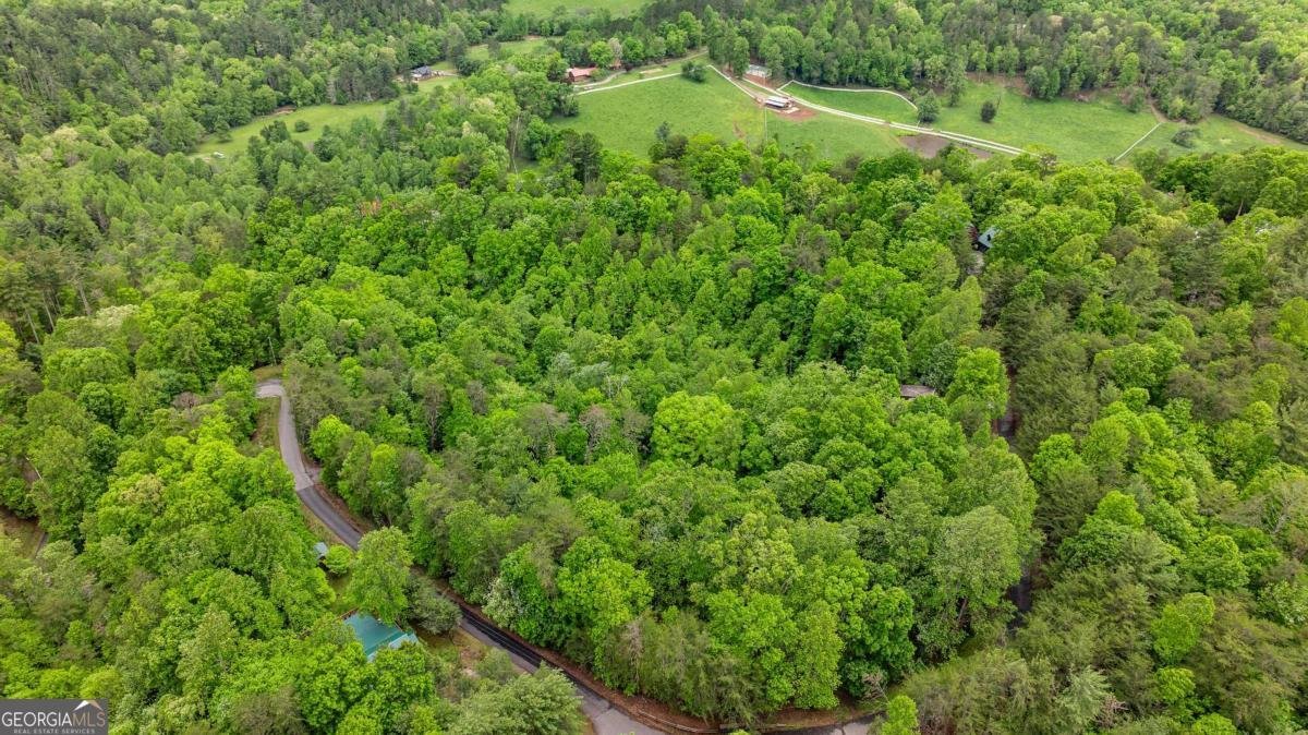35 35 The Bluff Morganton - 64