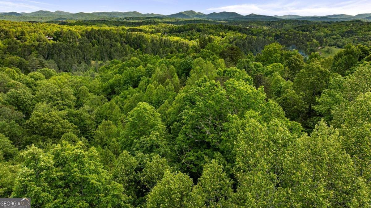 35 35 The Bluff Morganton - 65