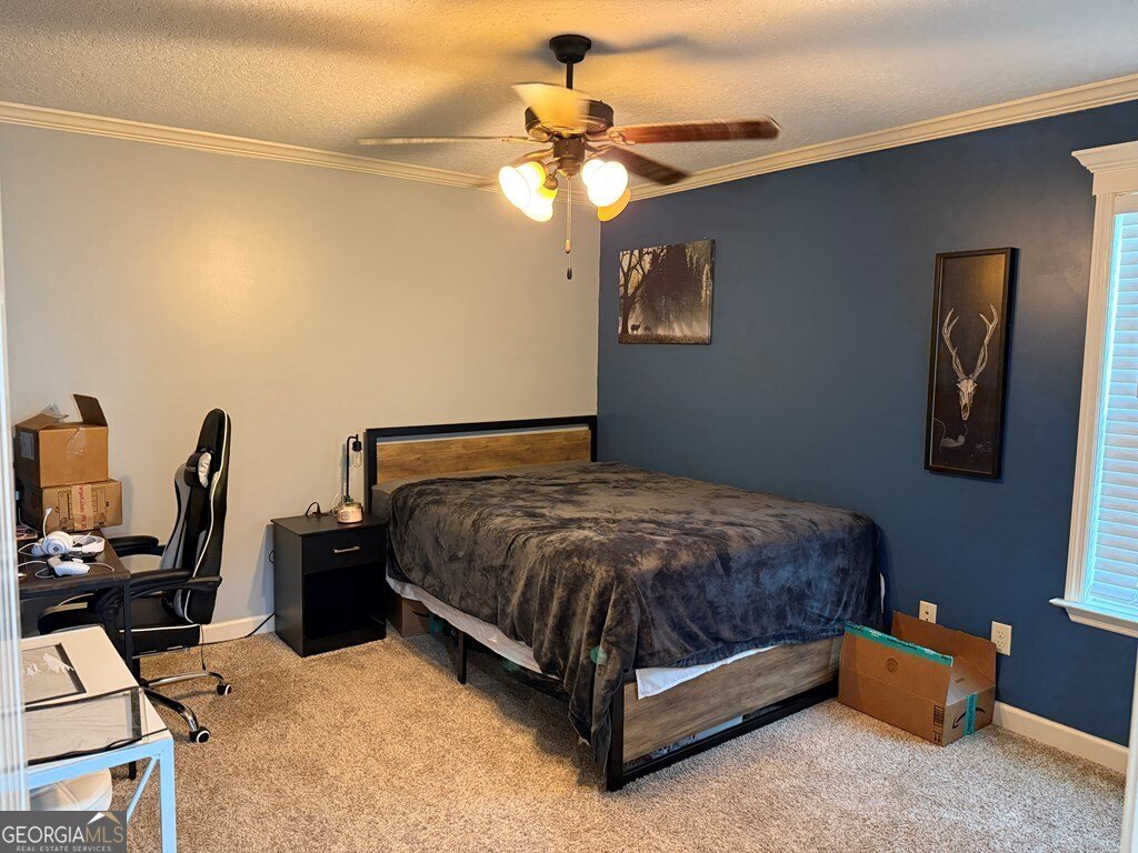4247 Shadow Garden Drive Hahira - 13