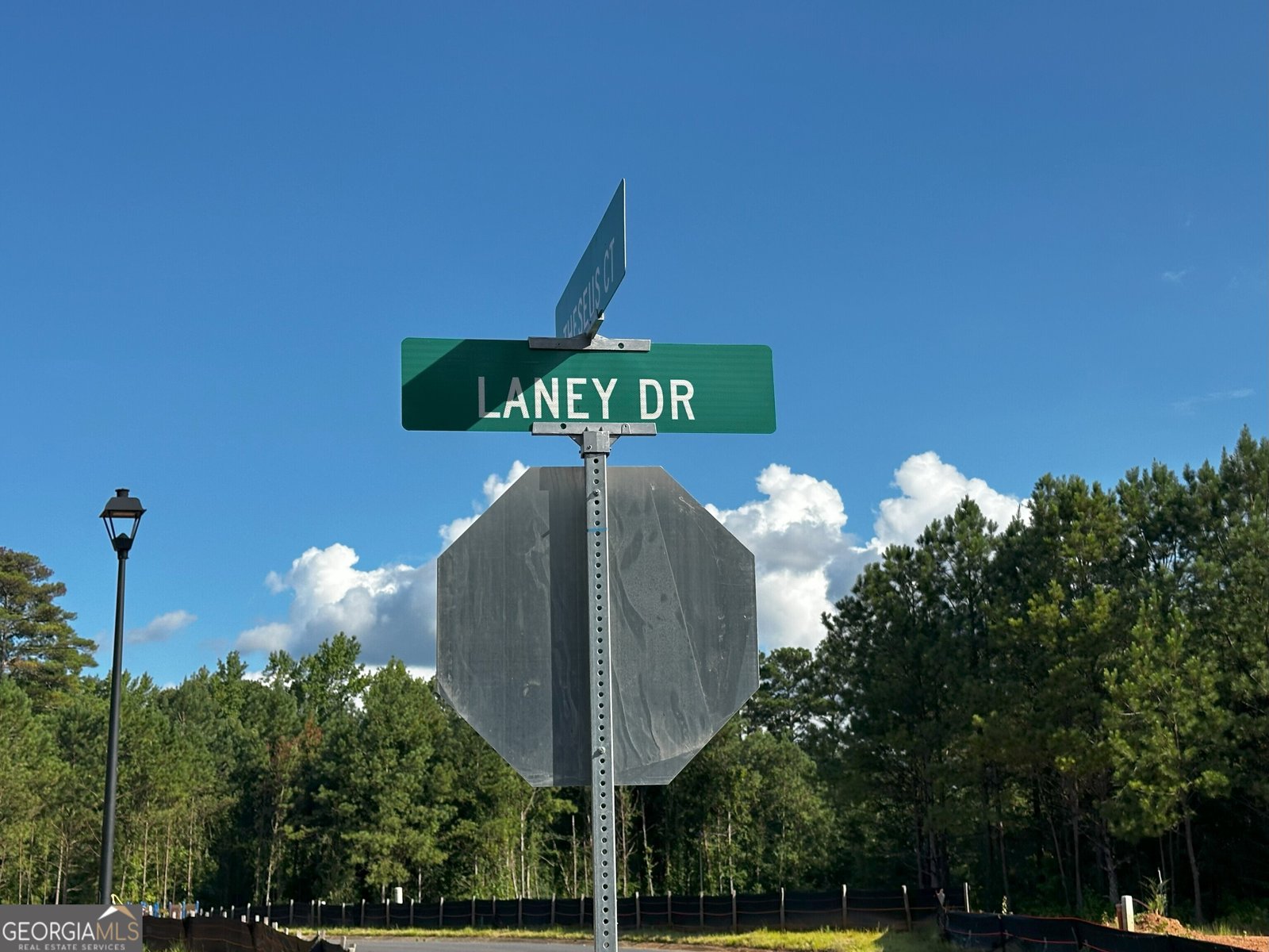 212 Laney Drive Carrollton - 3