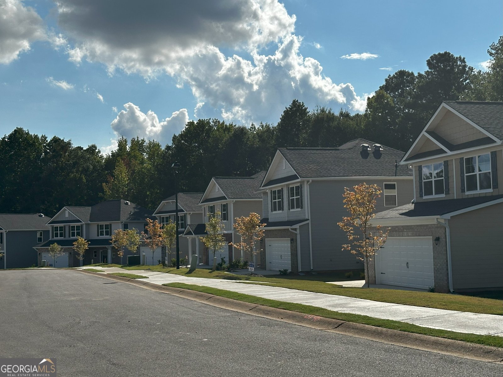 212 Laney Drive Carrollton - 5