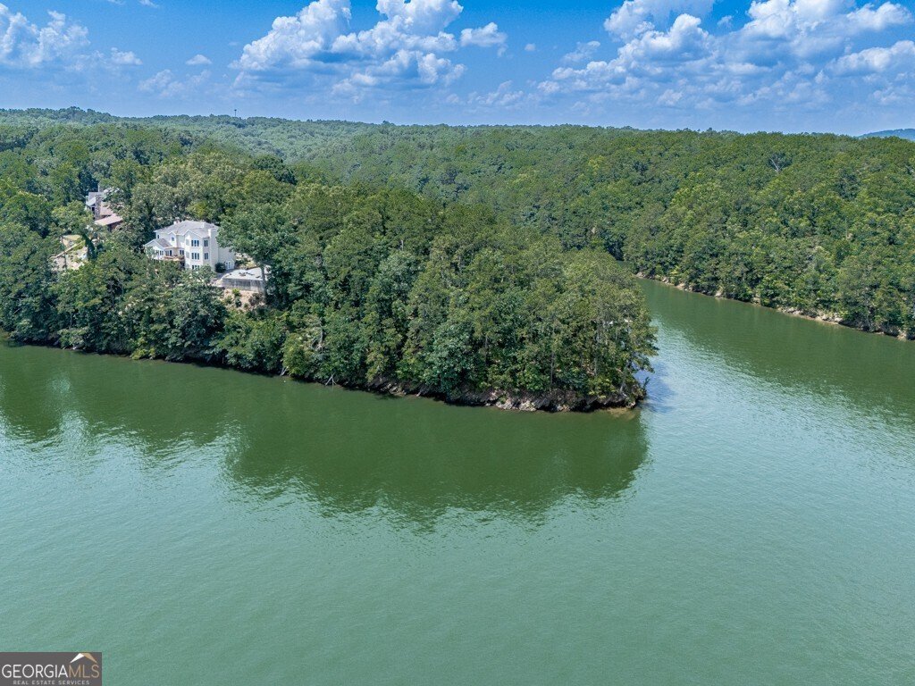 7560 Island Mill Road Acworth - 3