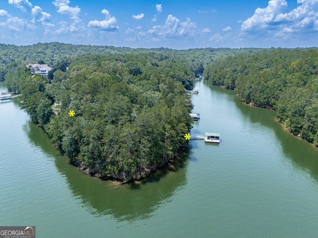7560 Island Mill Road Acworth - 4