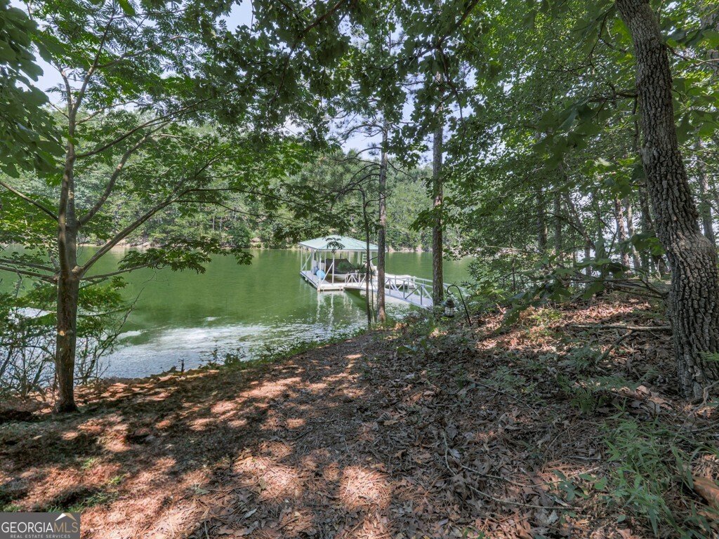 7560 Island Mill Road Acworth - 45