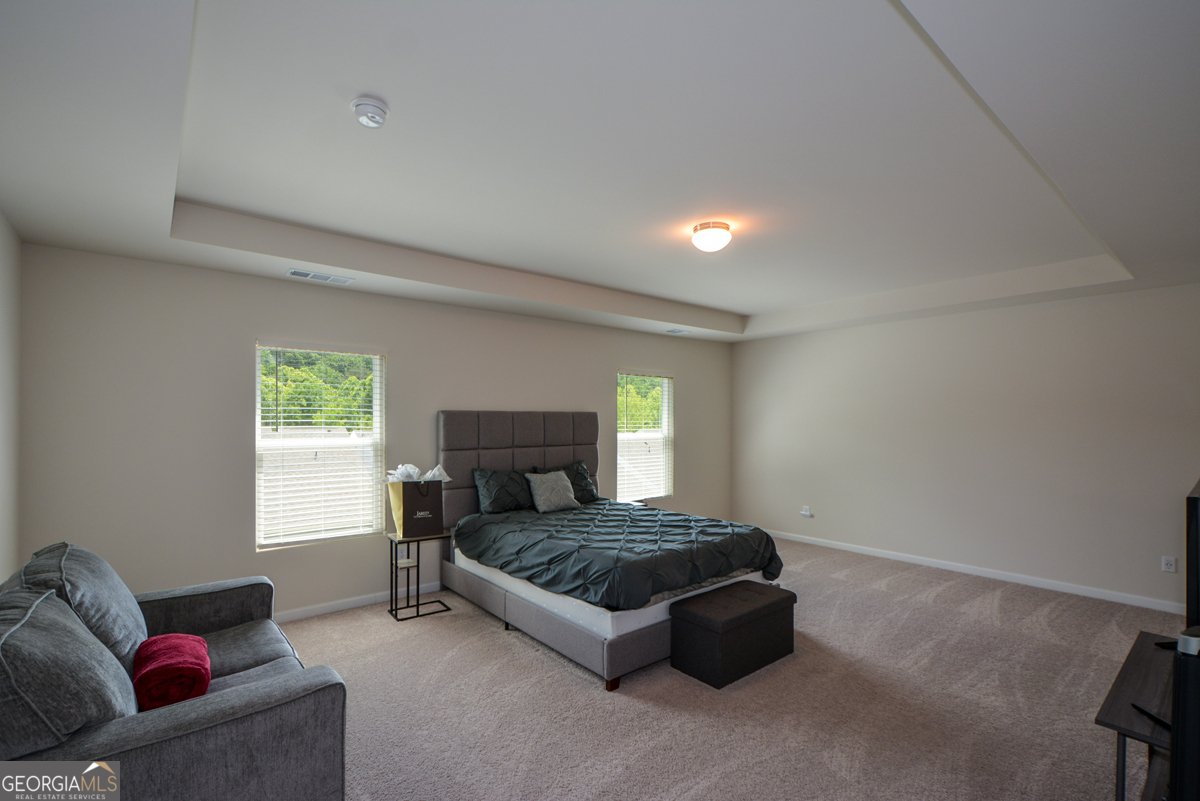 428 Whitetail Circle Canton - 20