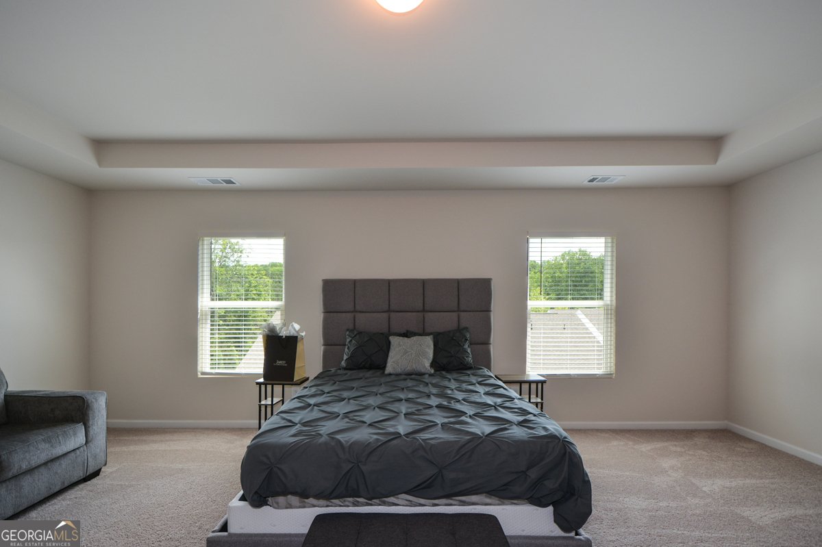 428 Whitetail Circle Canton - 22