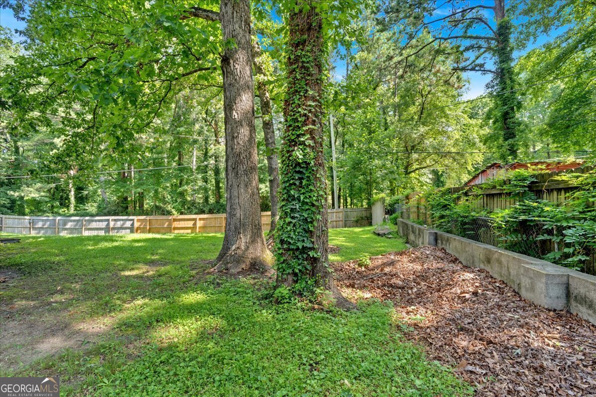 6600 Beulah Road Lithia Springs - 19