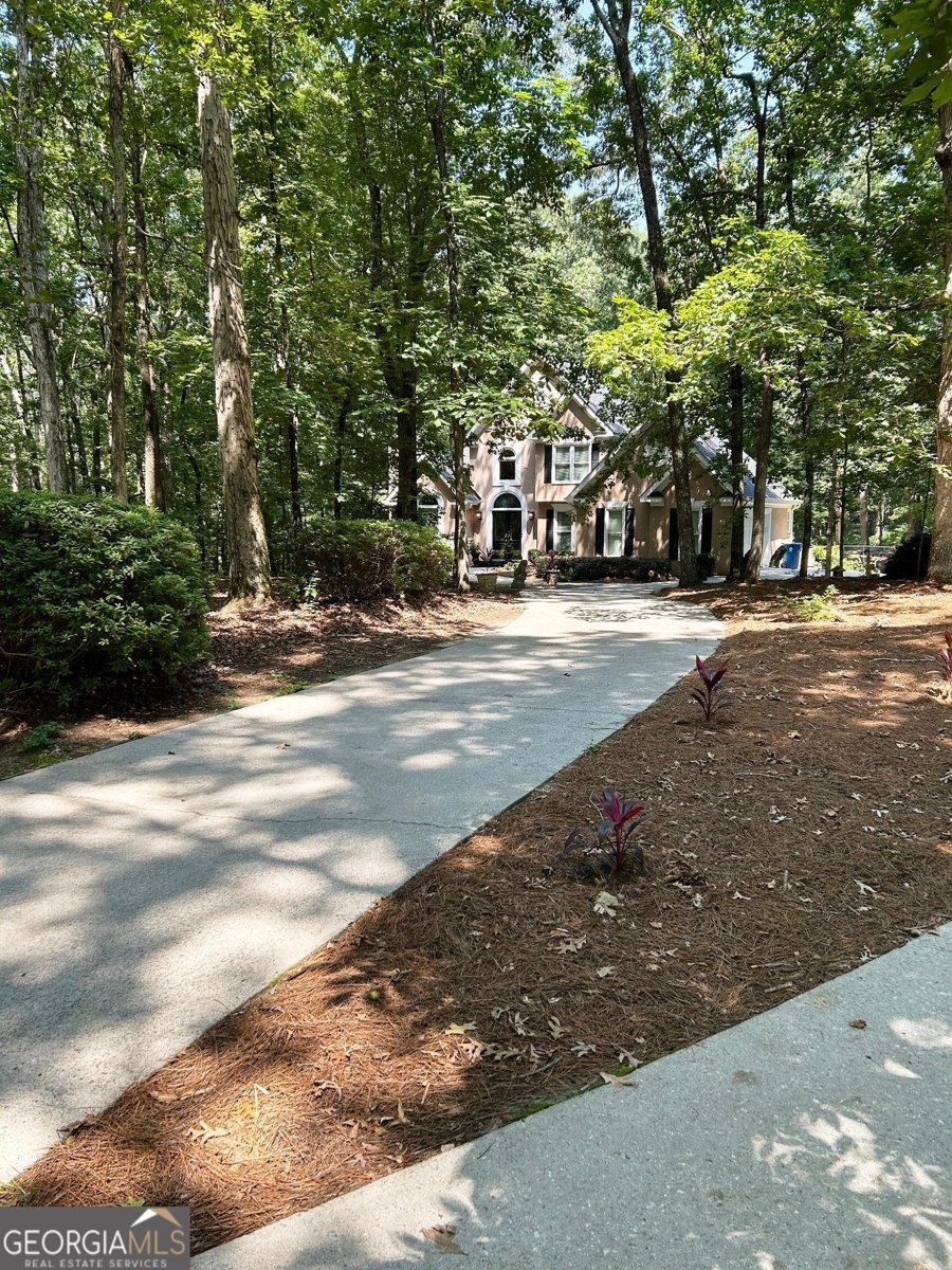2901 Briscoe Road Loganville - 3