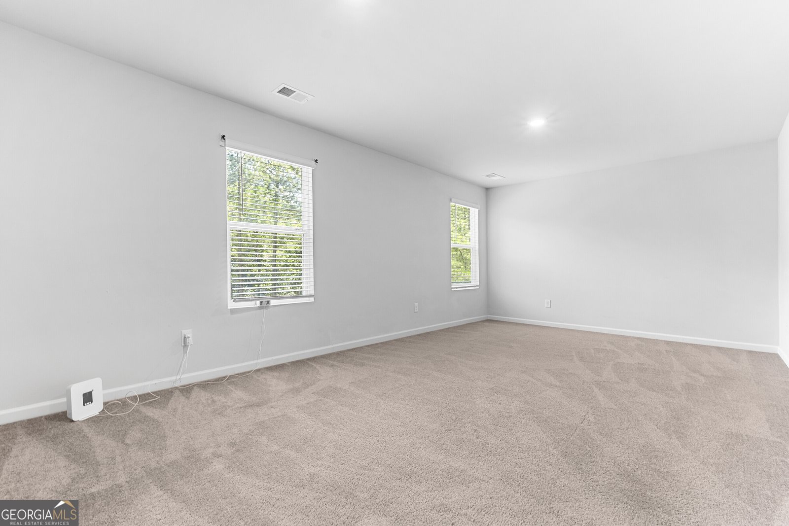 155 Shetland Pines Drive Macon - 20