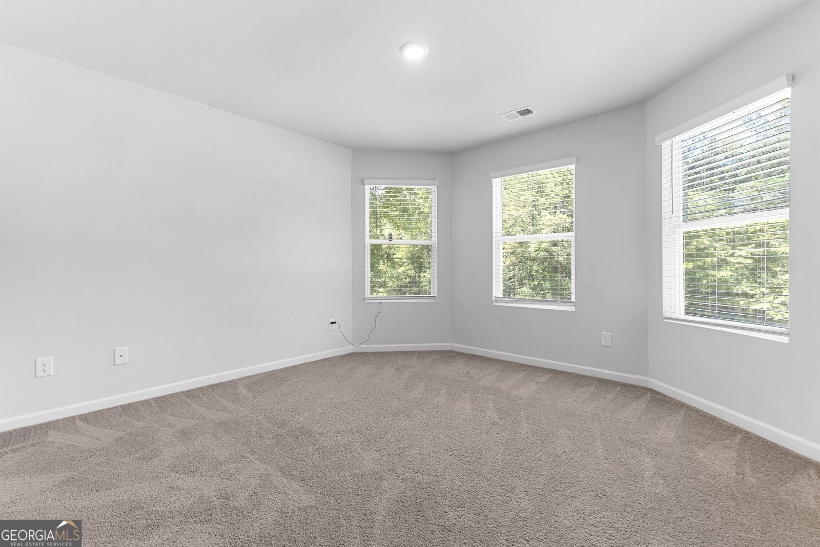 155 Shetland Pines Drive Macon - 32