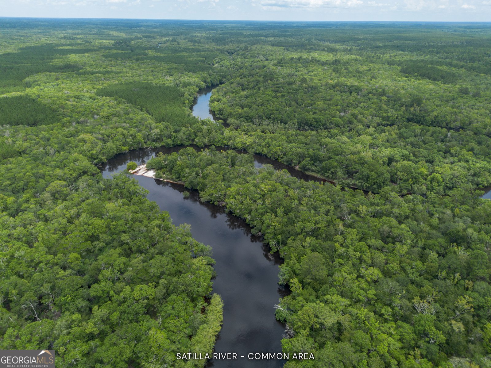 1360 Douglas Fish Camp Road White Oak - 11