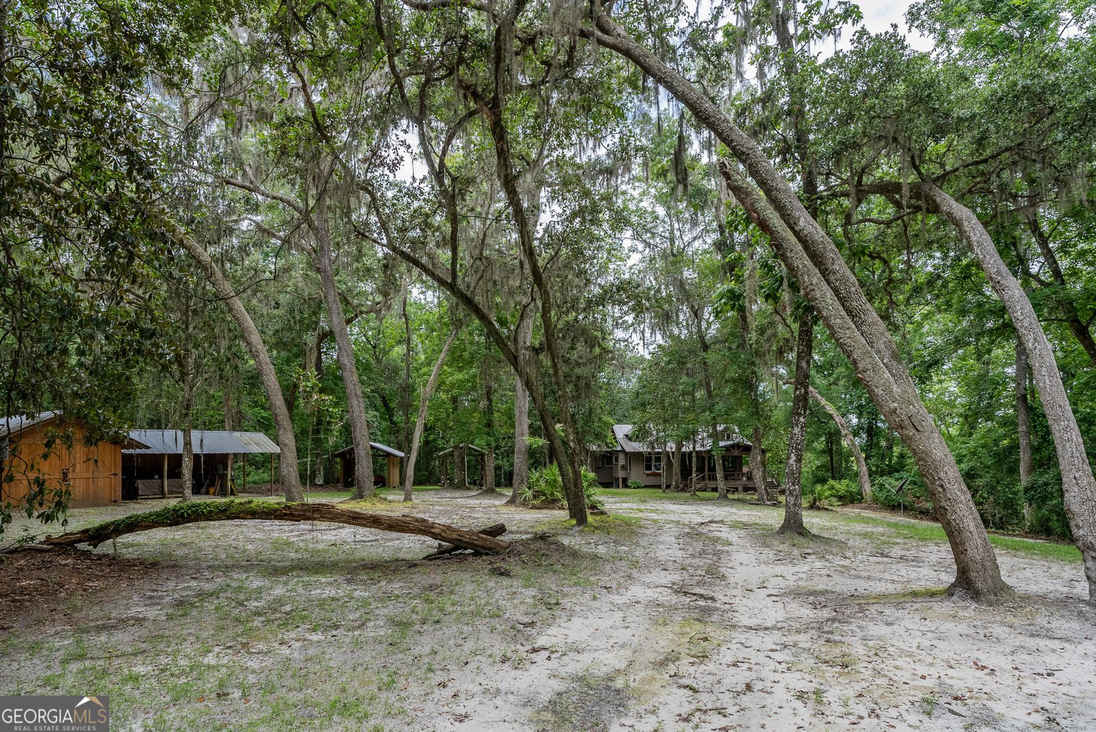 1360 Douglas Fish Camp Road White Oak - 18