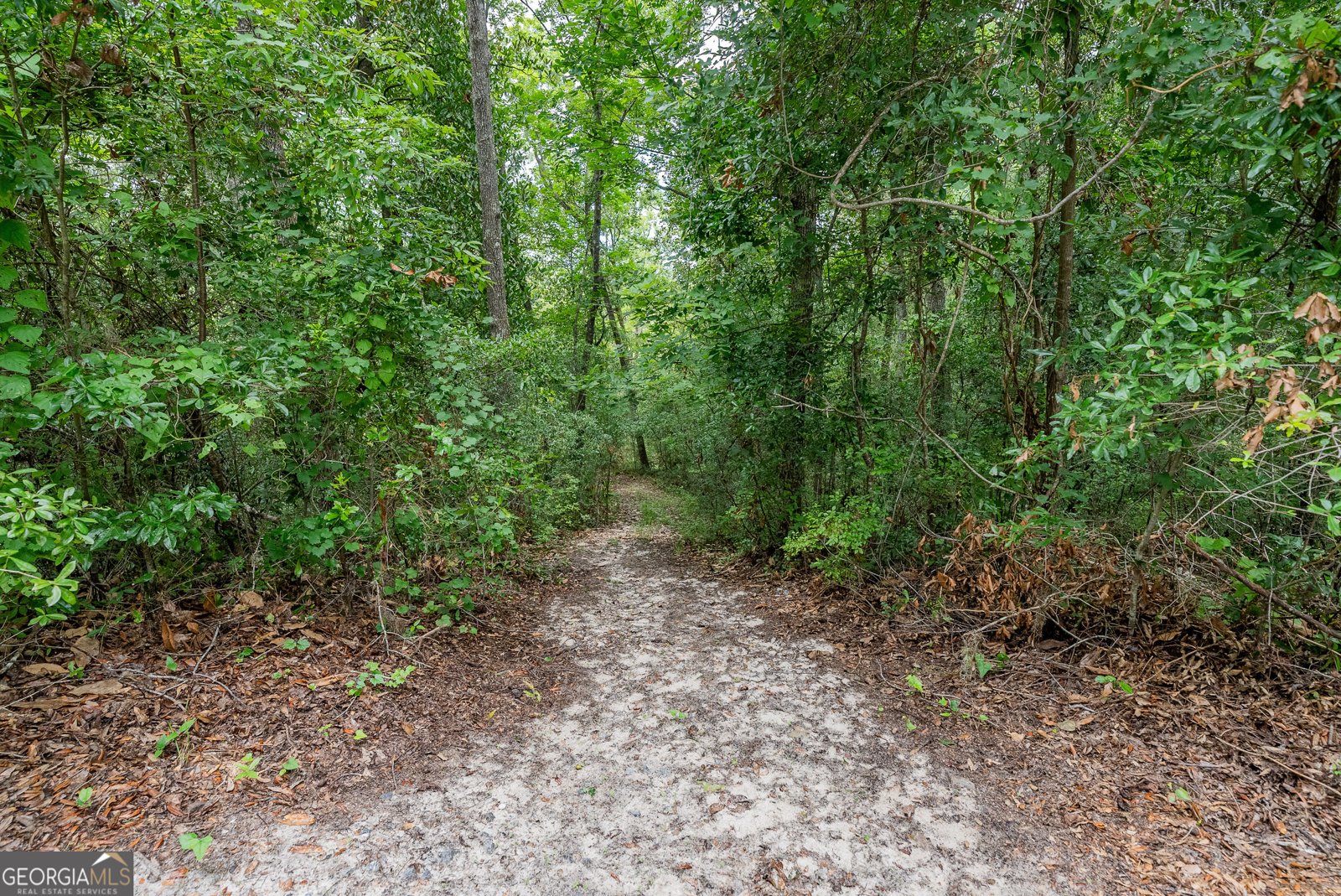 1360 Douglas Fish Camp Road White Oak - 23