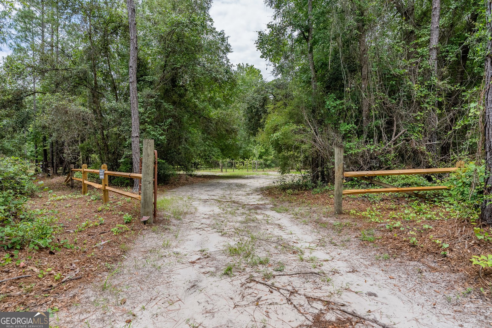 1360 Douglas Fish Camp Road White Oak - 25