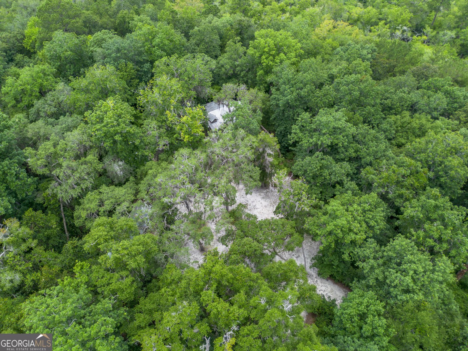 1360 Douglas Fish Camp Road White Oak - 3