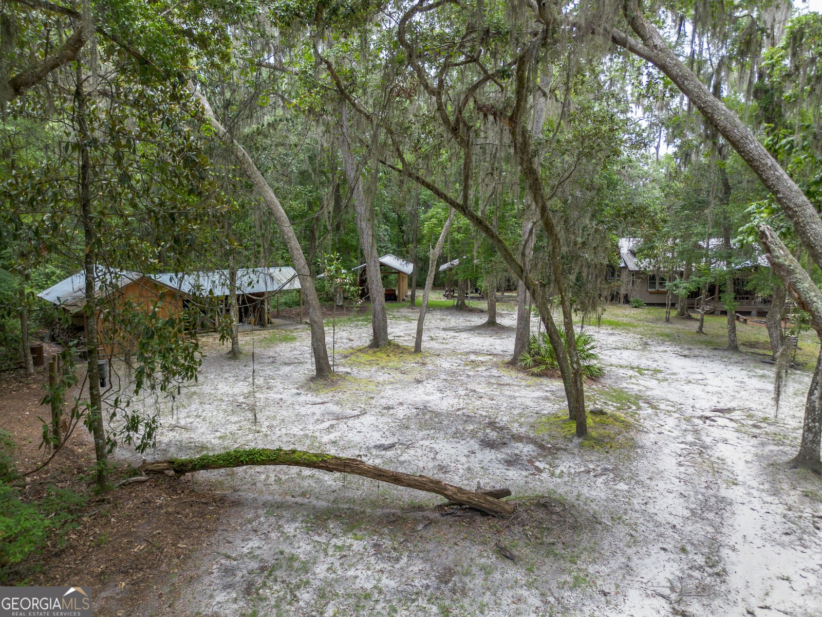 1360 Douglas Fish Camp Road White Oak - 4