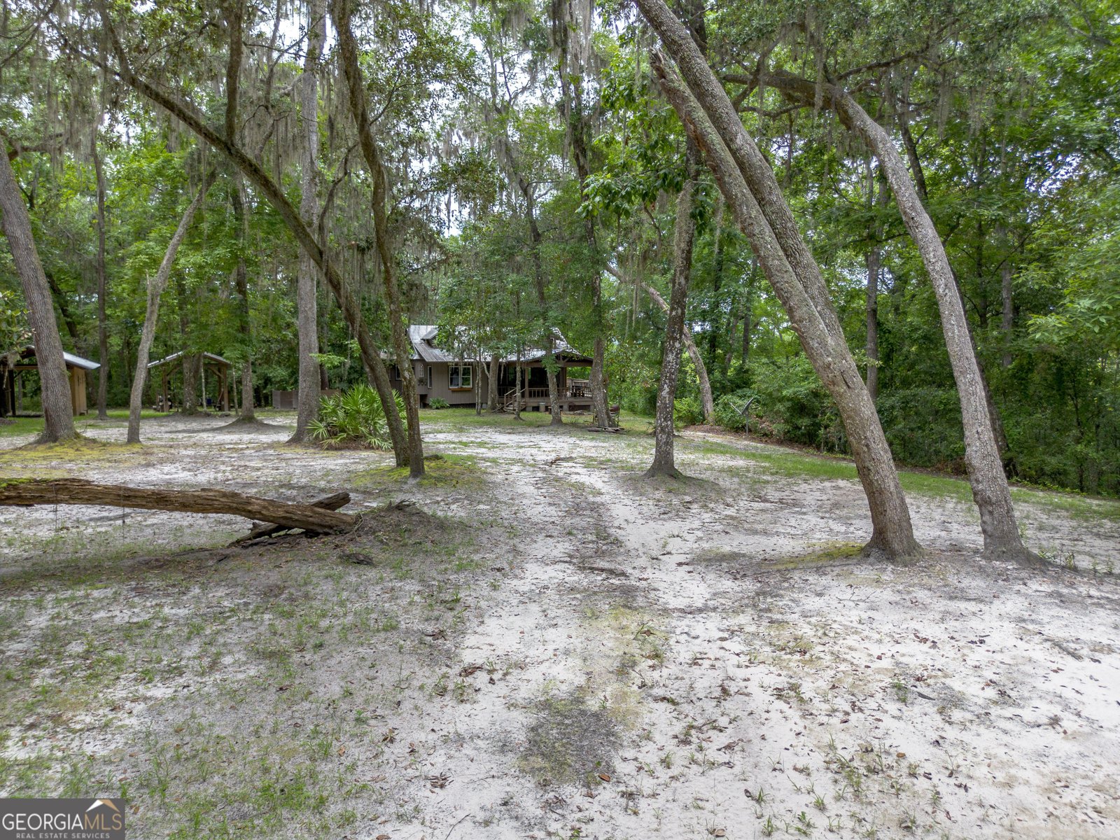 1360 Douglas Fish Camp Road White Oak - 5