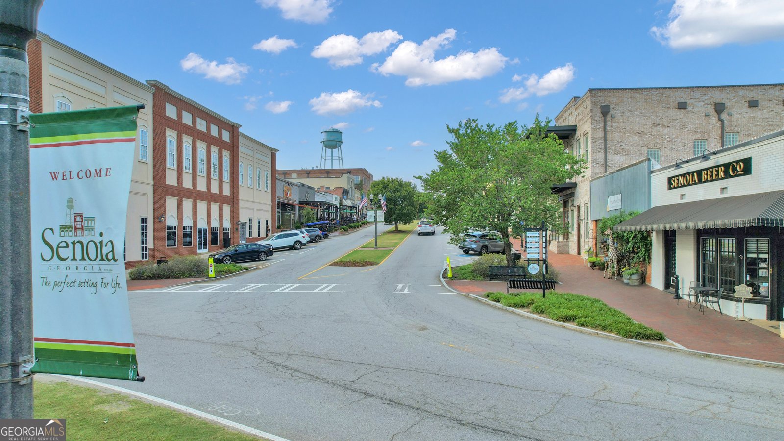259 Coweta Street Senoia - 43