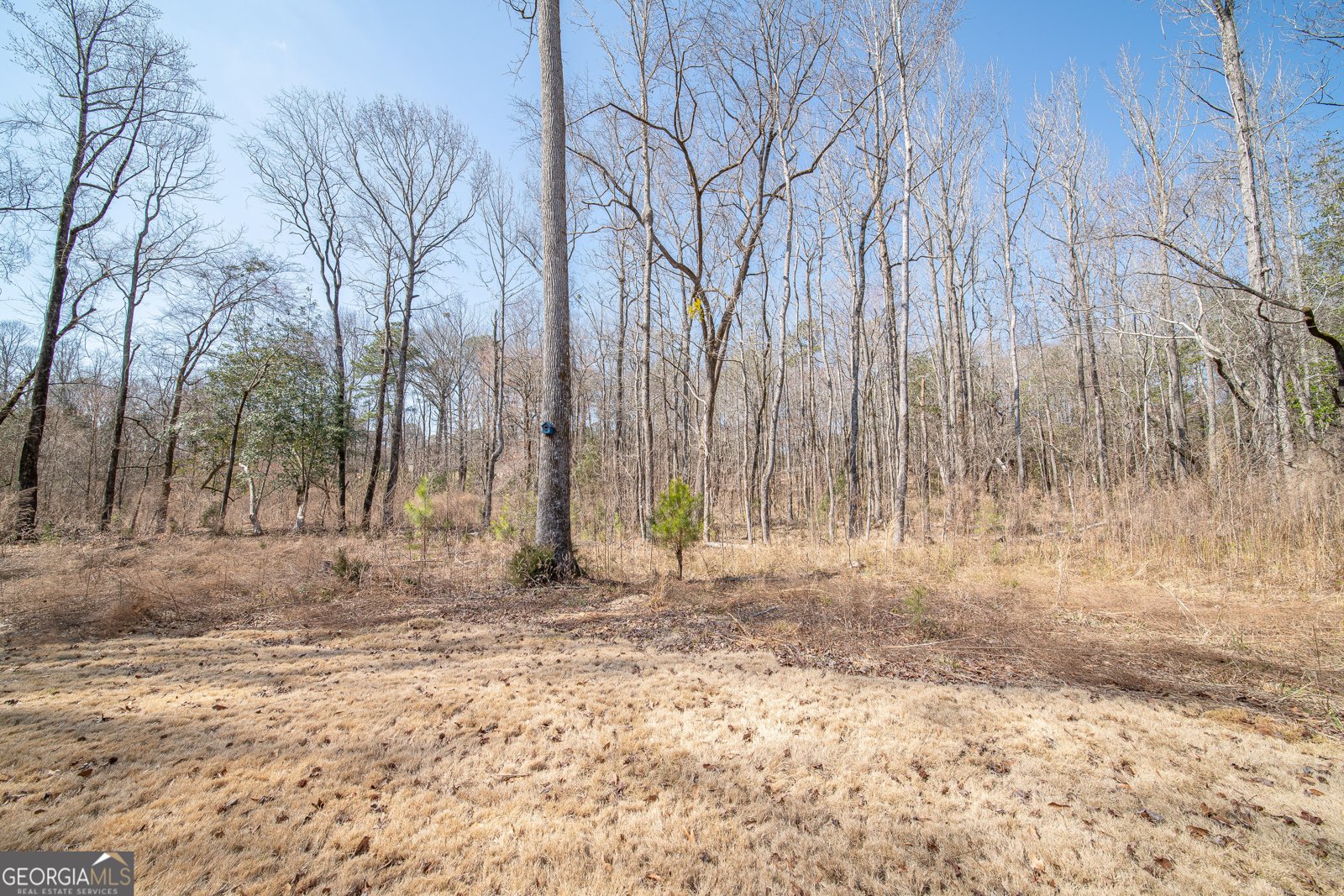 10320 Emerson Way Midland - 44