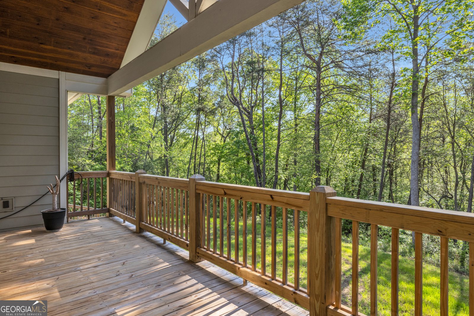 76 Brumby Trail Ellijay - 11