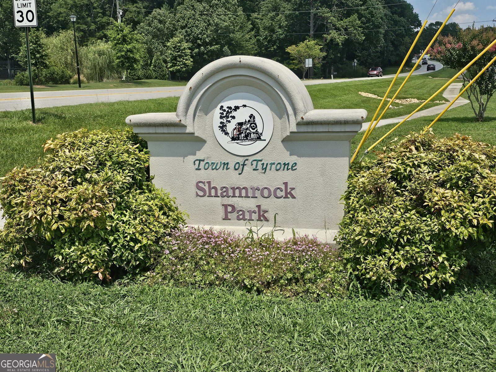 200 Chaparral Trace Tyrone - 42