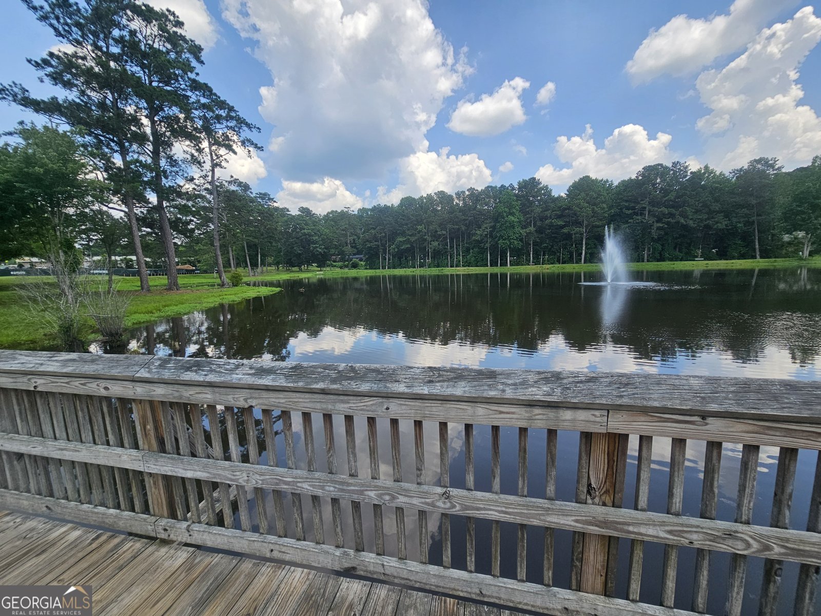 200 Chaparral Trace Tyrone - 47