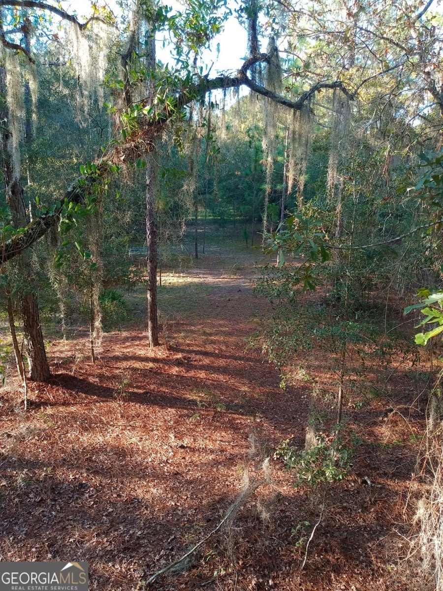 92 Graham Lane Claxton - 18