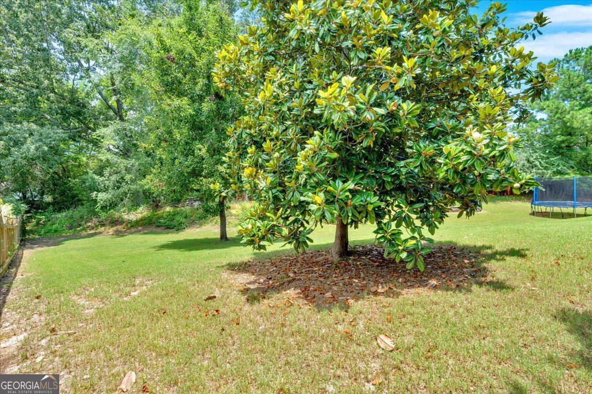 1002 Hallman Terrace Marietta - 39